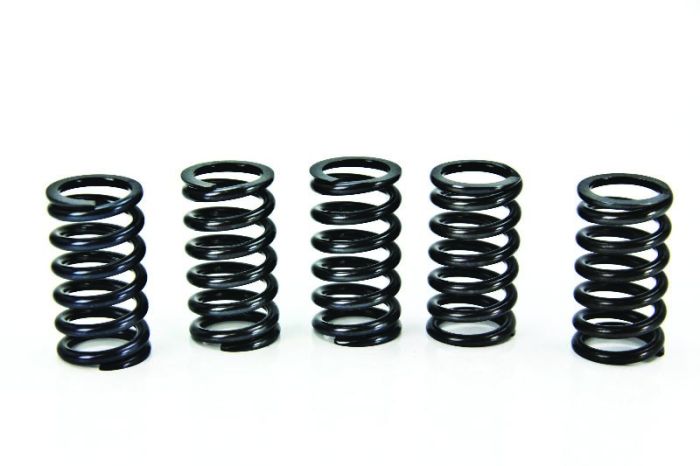 CSK Series Clutch Springs +15% - Click Image to Close