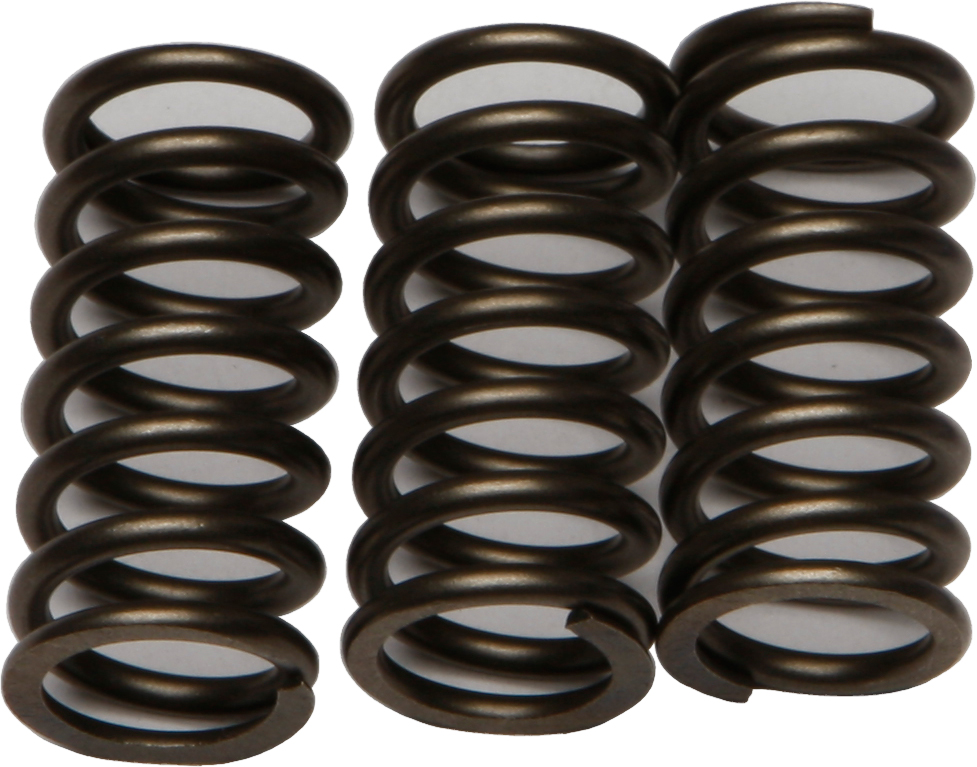 CSK Series Clutch Springs +15% - for 13-17 Kawasaki Ninja 300 - Click Image to Close