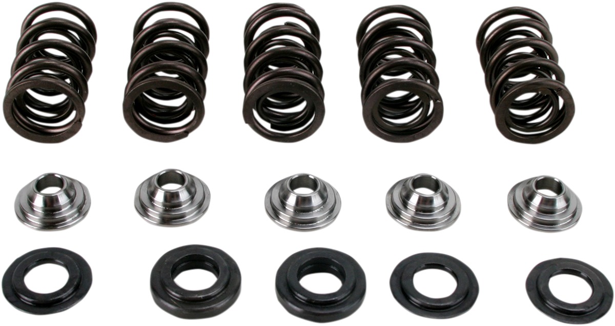 Valve Spring Kit - Camshaft Valve Spr Kit - Click Image to Close