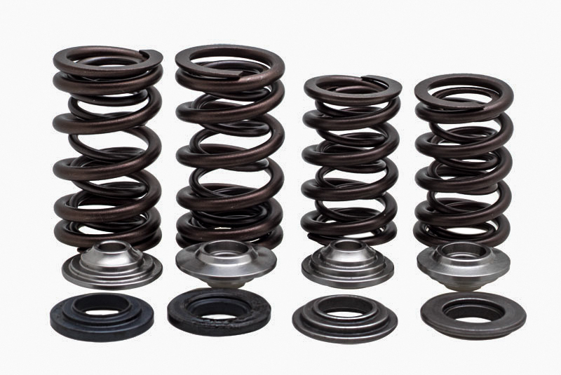 Racing Valve Spring Kit - For 17-20 Honda CRF450R/RX - Click Image to Close