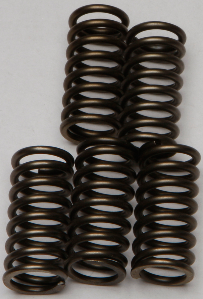 CSK Series Clutch Springs +15% - Click Image to Close