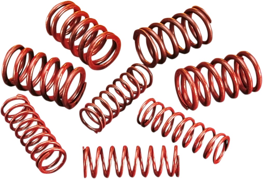 Andrews .550" Lift Valve Springs and Collars - Click Image to Close