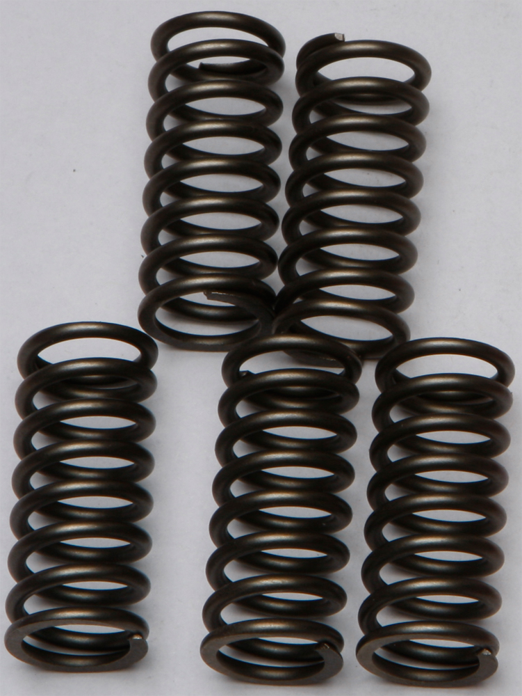 CSK Series Clutch Springs +15% - Click Image to Close