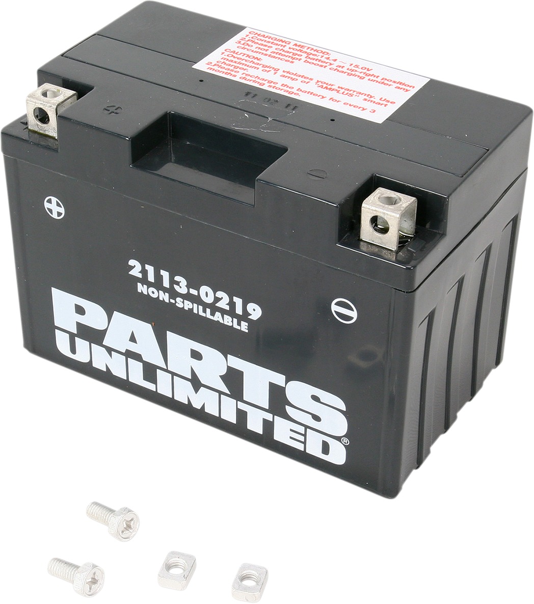 Factory Activated Maintenance Free Sealed Battery - Replaces YT12A-BS - Click Image to Close