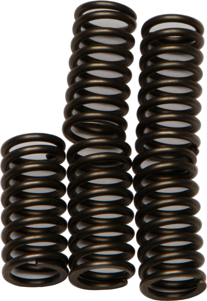 CSK Series Clutch Springs +15% - Click Image to Close