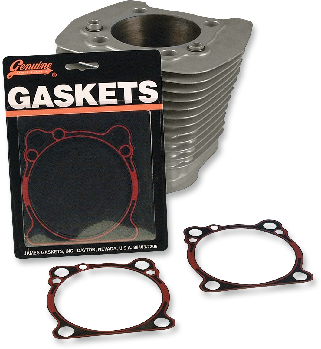 Cylinder Gasket Beaded .020" - For 08-19 Harley Sportster - Click Image to Close