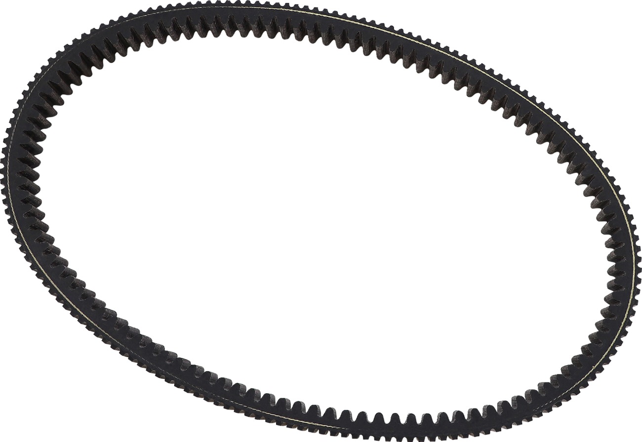 High-Performance Drive Belts - Ds Cvt Belt Xp1000/900 11-22 - Click Image to Close