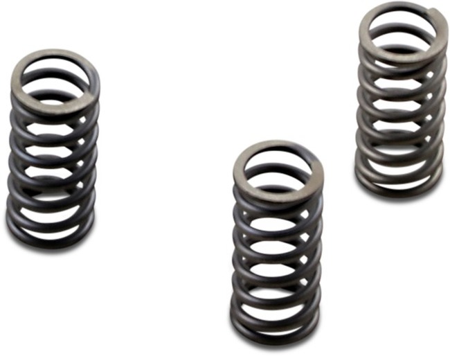 CSK Coil & Diaphragm Spring Kit - For 2018 Harley Davidson DYNA FLDE 1YCJ Deluxe (1690cc) - Click Image to Close