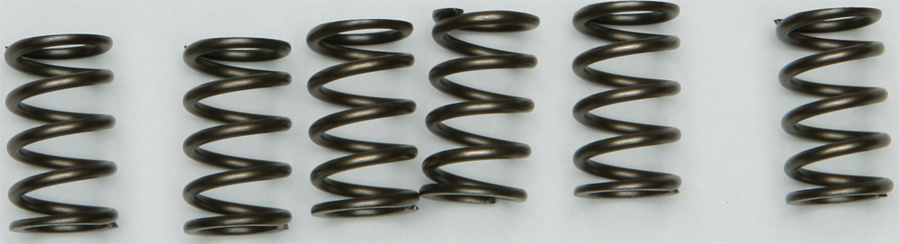 CSK Series Clutch Springs +15% - Click Image to Close