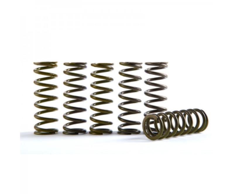 Clutch 10-24 Suzuki RM-Z250 Hi-Temp Clutch Spring Kit - Set of 5 - Click Image to Close