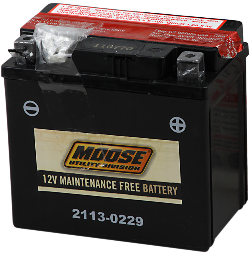 YTZ AGM Maintenance Free Battery 130CCA 12V 6Ah - Replaces YTZ7S - Click Image to Close