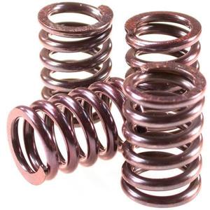 Barnett Clutch Spring Kit