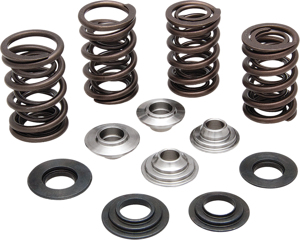 Racing Valve Spring Kit .650 Lift - For 84-04 Harley-Davidson