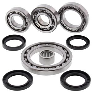 Rear Differential Bearing & Seal Kit QuadBoss Fits 2001 Suzuki LTA500