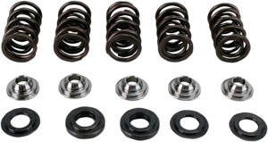 Valve Spring Kit - Camshaft Valve Spr Kit