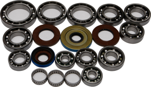 Differential Bearing & Seal Kit