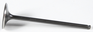 Black Diamond Intake Valve