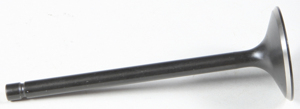 Black Diamond Intake Valve