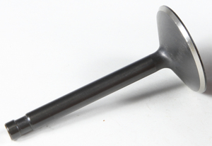 Black Diamond Intake Valve - Replaces HD # 18074-66