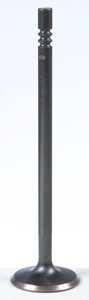 Black Diamond Exhaust Valve