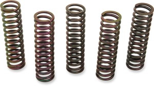 Barnett Clutch Spring Kit