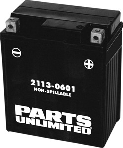 AGM Maintenance Free Battery 120CCA 12V 7Ah Factory Activated - Replaces YTZ8V