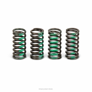 Performance Clutch Springs - KX 80/85/100/112