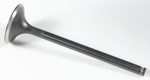 Black Diamond Exhaust Valve