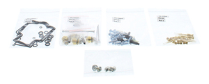 Carburetor Rebuild Kit