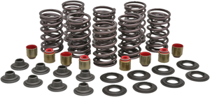 Kibblewhite Precision Racing Valve Spring Kit HP Turbo