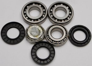 Differential Bearing & Seal Kit