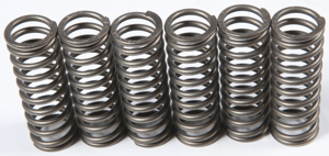 CSK Series Clutch Springs +15%