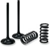 Steel Intake Valve/Spring Kit - For 05-06 Suzuki RMZ450