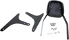 Standard Square 17" Sissy Bar - Black - For 06-17 Harley Softail