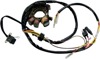 Stator - For Many 95-01 Polaris 400 4T