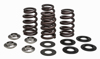 Racing Valve Spring Kit - For 13-18 Husqvarna KTM 450