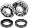 88-06 Yamaha YFS200 Blaster Crankshaft Bearing & Seal Kit