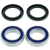 94-95 Polaris 300 2x4 (03) Rear ATV Wheel Bearing & Seal Kit