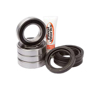 Rear Wheel Bearing Kit