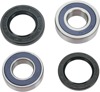 Rear Wheel Bearing & Seal Kit Fits Yamaha 125-450