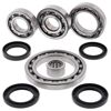 Rear Differential Bearing & Seal Kit QuadBoss Fits 2001 Suzuki LTA500