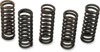 Barnett Clutch Spring Kit