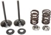 Stainless Intake Valve and Spring Kit - For 06-09 Suzuki LTR450 QuadRacer