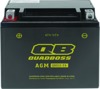 06-10 Arctic Cat 250 2x4 AT Maintenance-Free AGM Battery