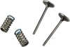 Steel Intake Valve/Spring Kit - For 08-09 Honda CRF250R