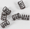 CSK Series Clutch Springs +15%