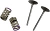 Steel Intake Valve/Spring Kit - For 07-08 Kawasaki KX250F