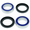 01-05 Yamaha YFM660R Raptor Rear ATV Wheel Bearing Seal Kit