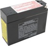 Factory Activated AGM Sealed Battery - Replaces YT4B-BS