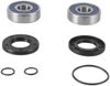 All Balls Racing Jet Pump Rebuild Kit